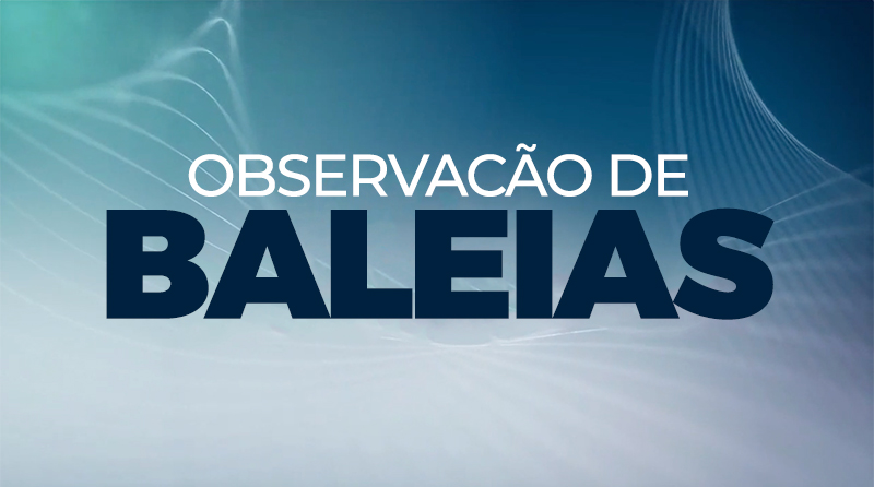 Observação de Baleias